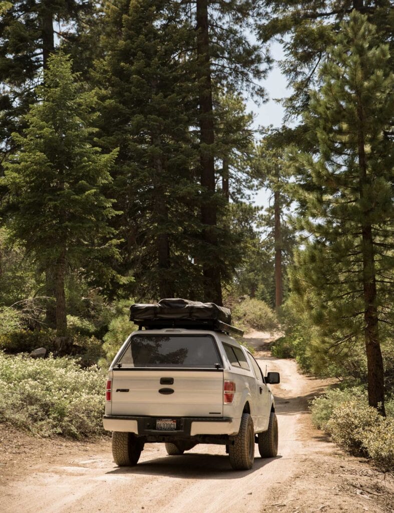 Camping in the woods