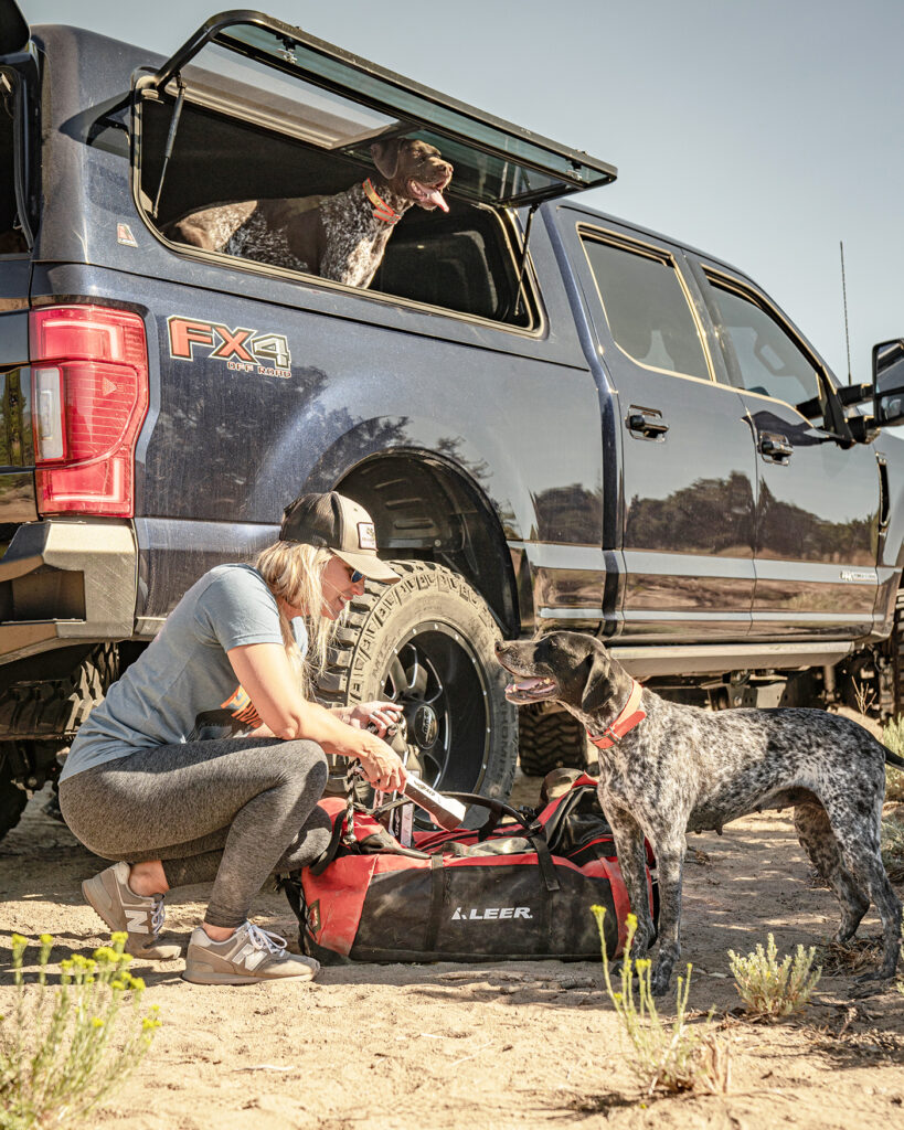Bring dog toys for your puppy when roadtripping with dogs