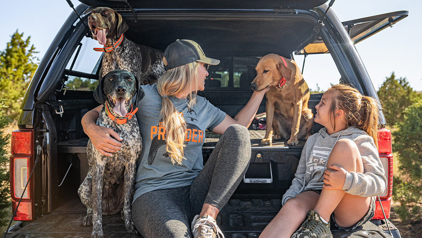 Guide to roadtripping with dogs