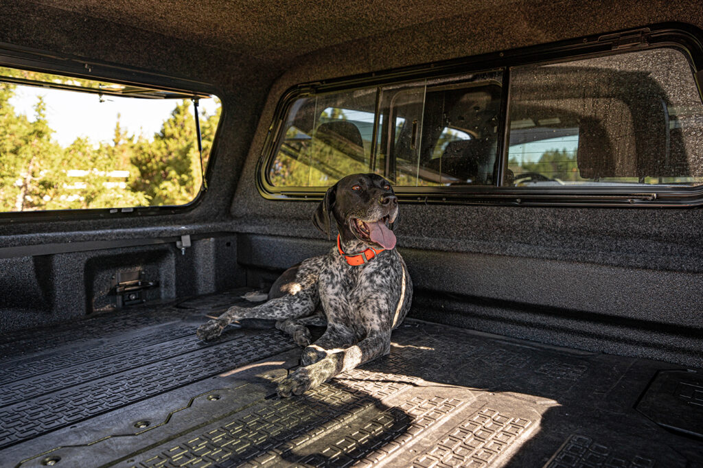Using a dog kennel is a good idea when roadtripping with dogs