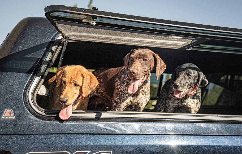 Ventilation for dogs in cars is an important tip for roadtripping with dogs