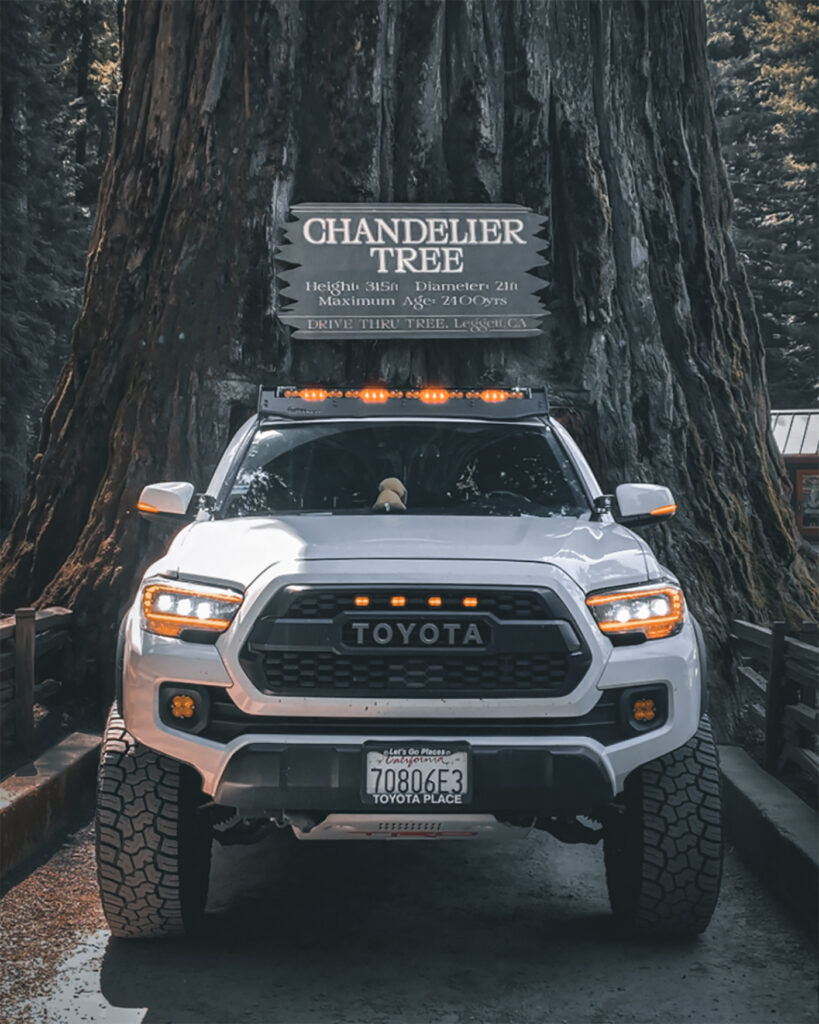Visiting the Redwood National Park road trip essentials for couples 1